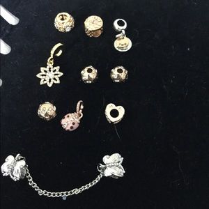 European in Pandora charms
